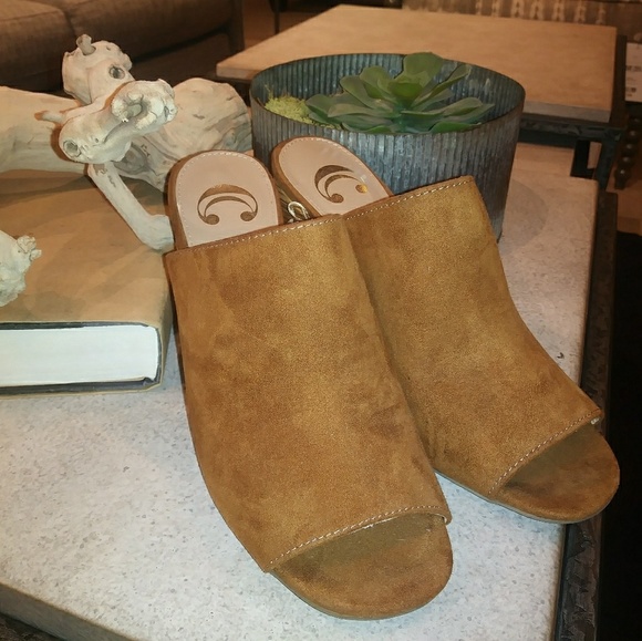 Brown Suede Peep-Toe Mules - Picture 1 of 2
